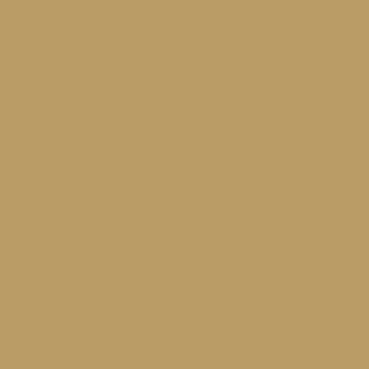 Duster No. 319
