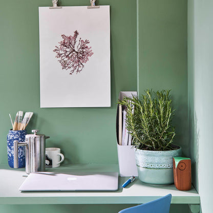 Breakfast Room Green No. 81
