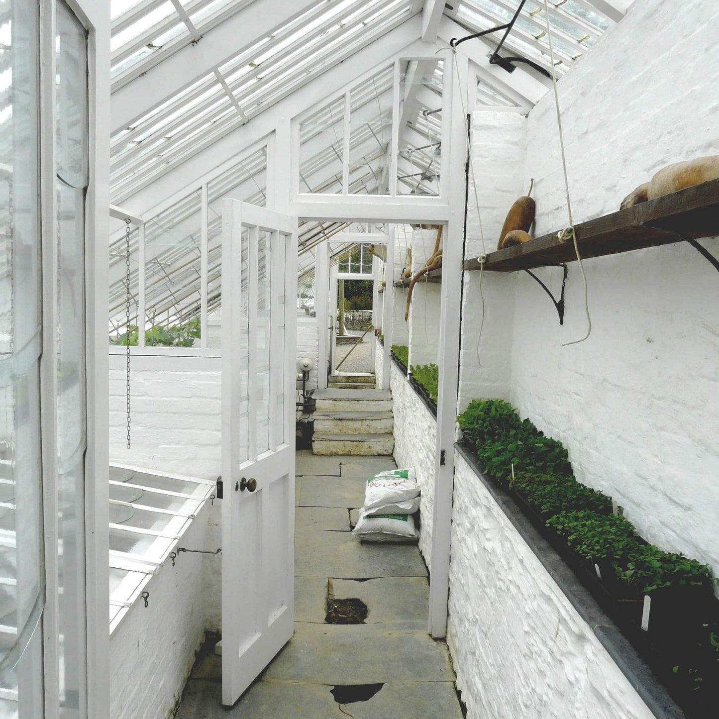 Whitehall No. 9
