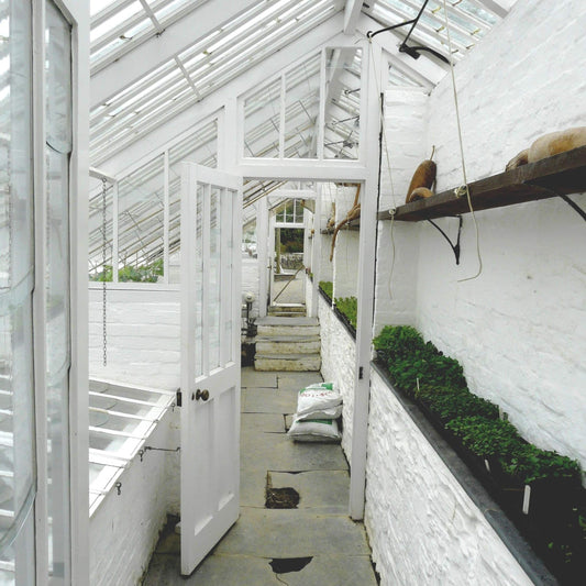 Whitehall No. 9