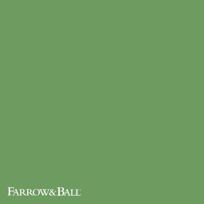 Raw Tomatillo No. CB6