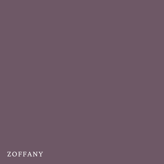 Purple Tulip