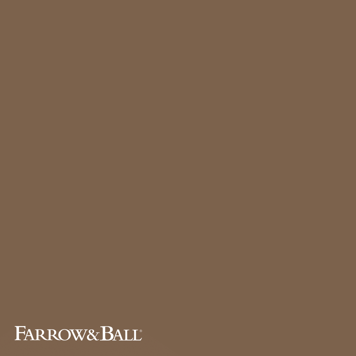 Wainscot No. 55